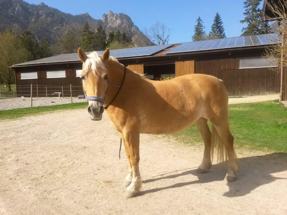 Ferienhaus Gestuet Pfaffenlehen Bischofswiesen Nyaraló